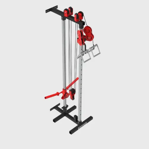 Wall mounted dual cable pulley